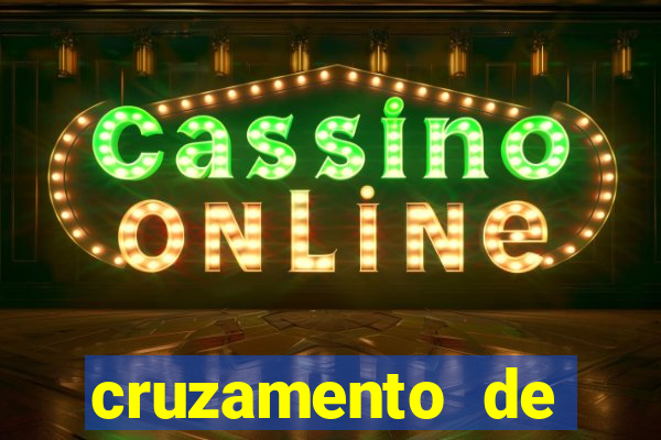 cruzamento de cavalo com mula